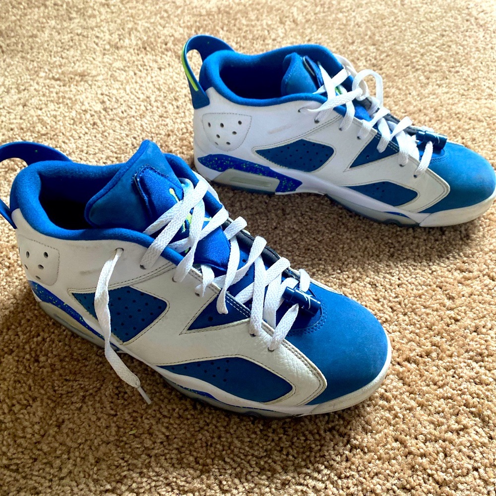 Air Jordan sea hawk 6s